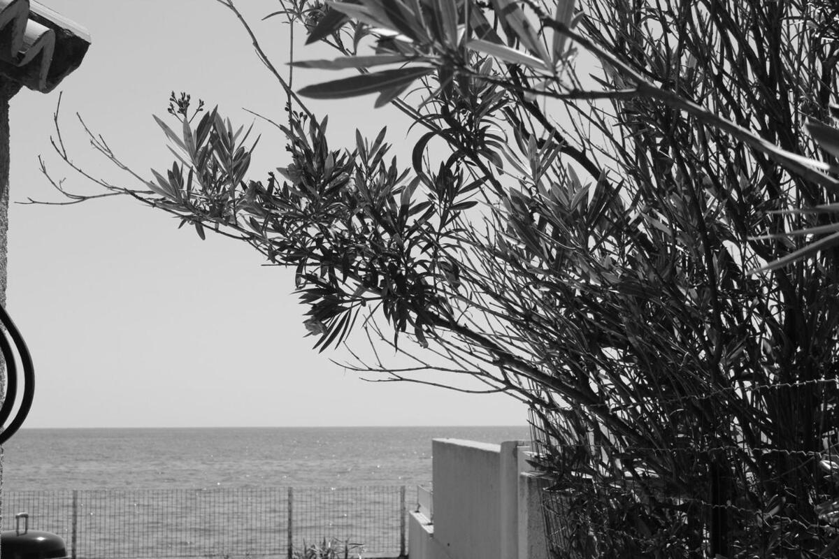 圣尼科劳Bord de mer, pieds dans l'eau, vue panoramique别墅 外观 照片