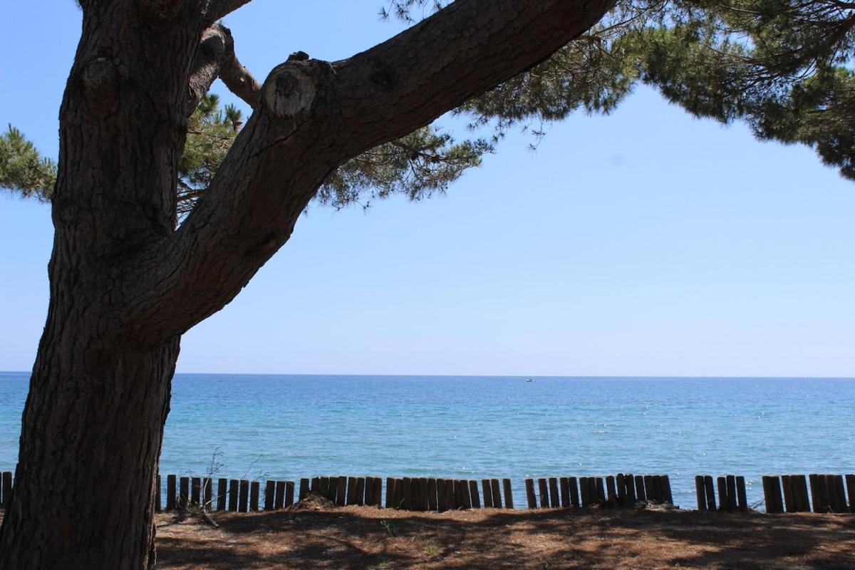 圣尼科劳Bord de mer, pieds dans l'eau, vue panoramique别墅 外观 照片